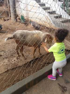 Restaurante Dula Y Pipa