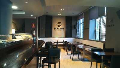 Rice And Fish Sushibar