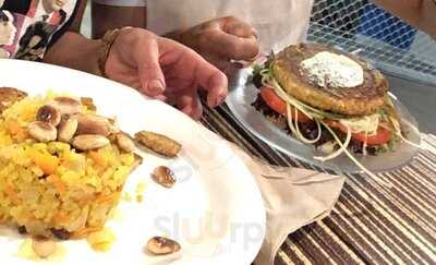 La Marmita Verde Del Mundo Vegetal