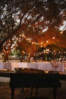 Restaurante Y Catering Los Olivos