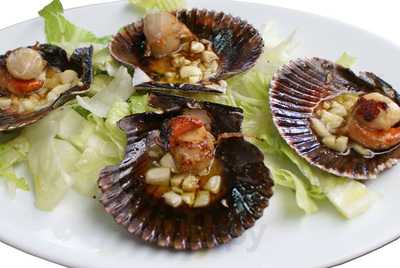 Chiringuito Bombadill