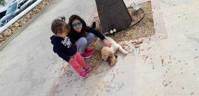 Blue Ocean Restaurant