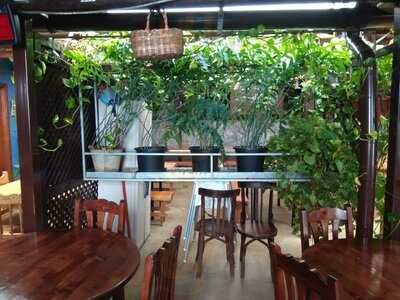 Bodegón Guachinche El Medianero