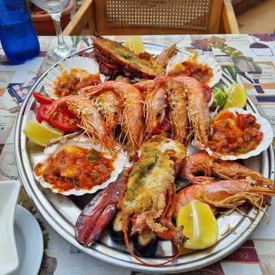 Rapha's El Autentico Son Baulo