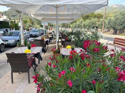 Maharani Indian Tandoori Restaurant