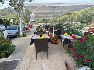 Maharani Indian Tandoori Restaurant