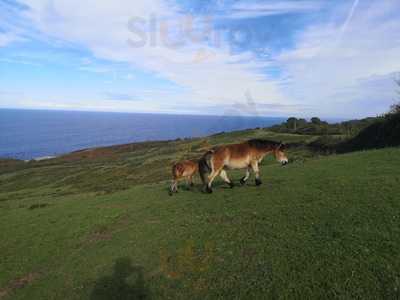 Bar Restaurante Justiz
