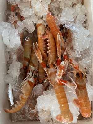 El Rincon Del Marisco