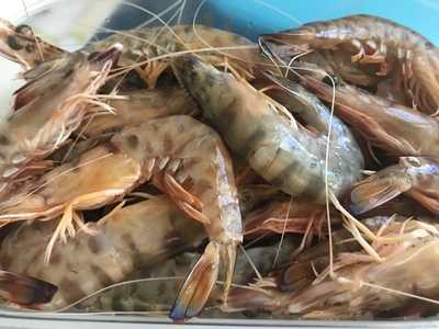 El Rincon Del Marisco