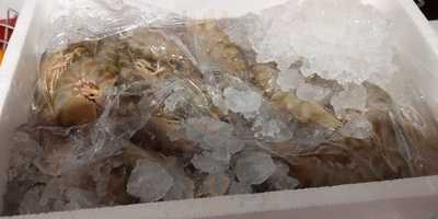 El Rincon Del Marisco