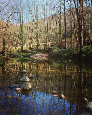 Les Tries Restaurant