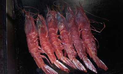 Espuma Del Mar De Canela