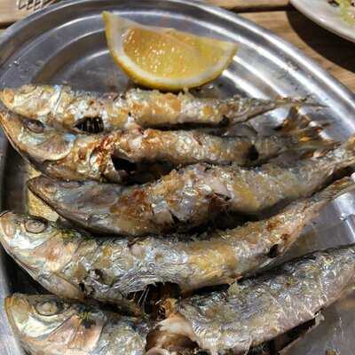 Santa Guadalupe Beach & Bar