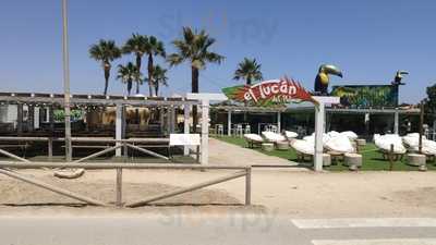 Santa Guadalupe Beach & Bar