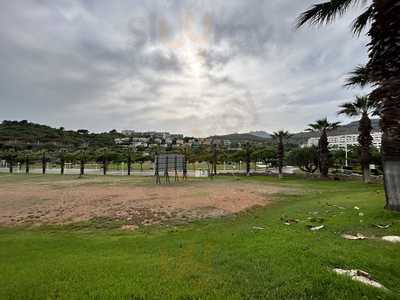 Bar Cafetería Torre Bellver