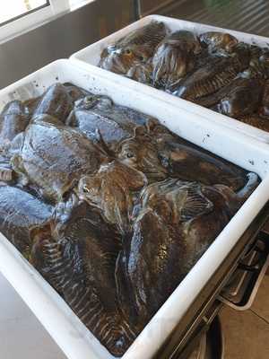 Brasería Los 3 Cruces