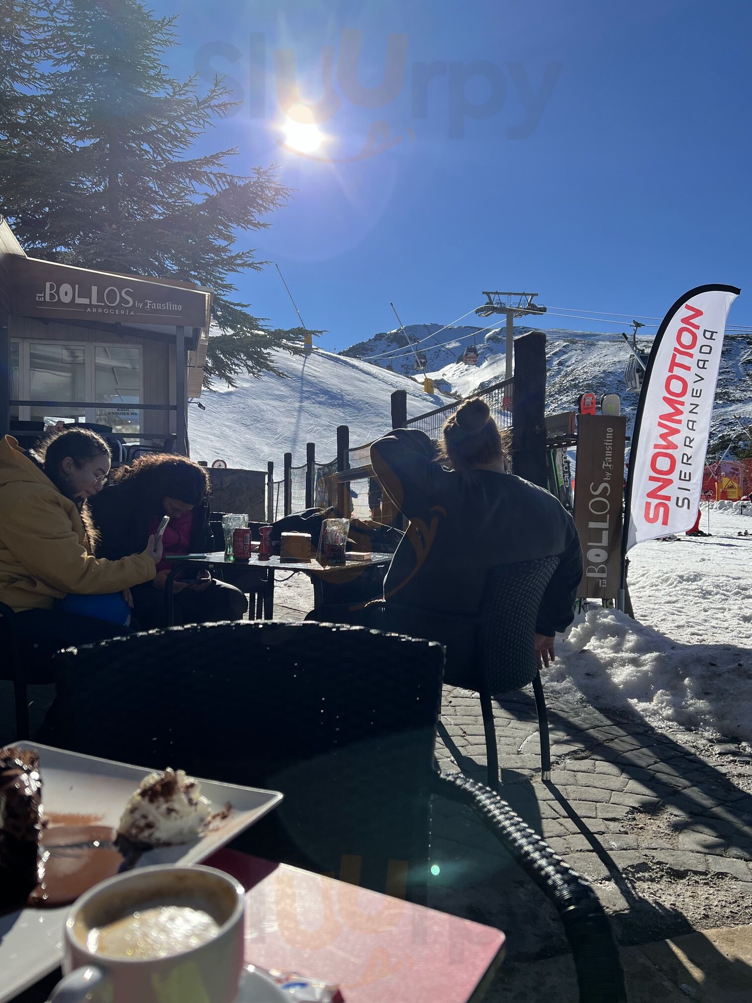 Bar Solarium Pepe Bollos