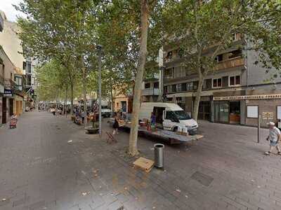 La Gárgola De Notre Dame