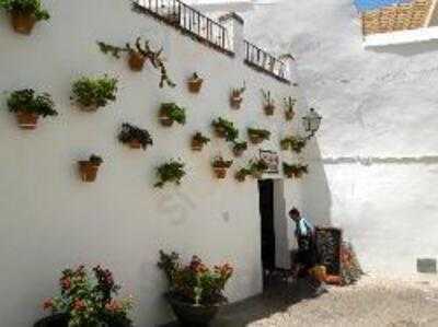 Café & Copas Alcaravan