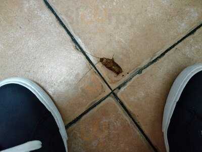 Asador Donald Burguer