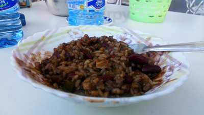 El Bosque De Las Hadas