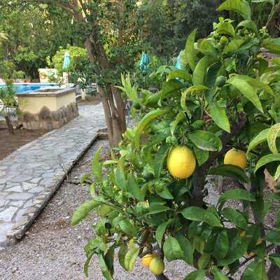 Fincahotel Can Coll Restaurant