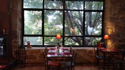 Na Morada Das Parras