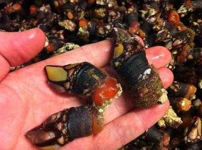 Hotel-restaurant Doade