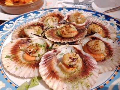 El Rincón Del Gordo