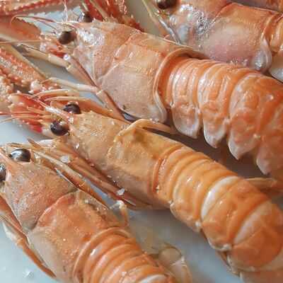 Pandemillo Taberna Galega