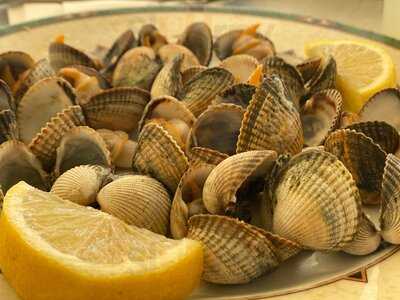 Restaurante Mesón Beiramar