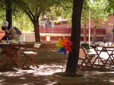 Cilantro Fresh Shop Bar