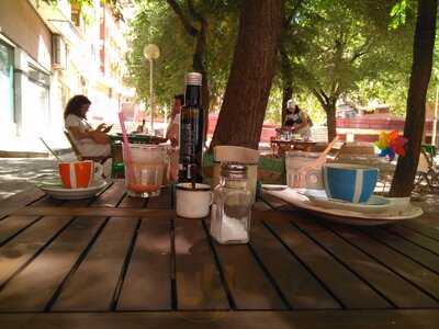 Cilantro Fresh Shop Bar