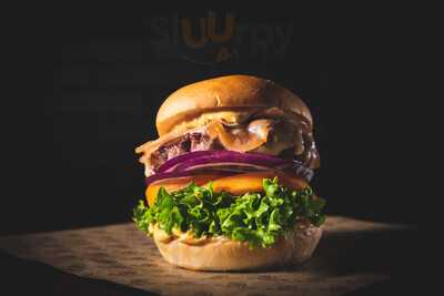 The Black Turtle - Xàtiva