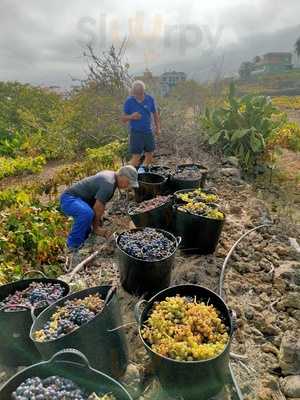 Pedro El Abuelo El Fonil