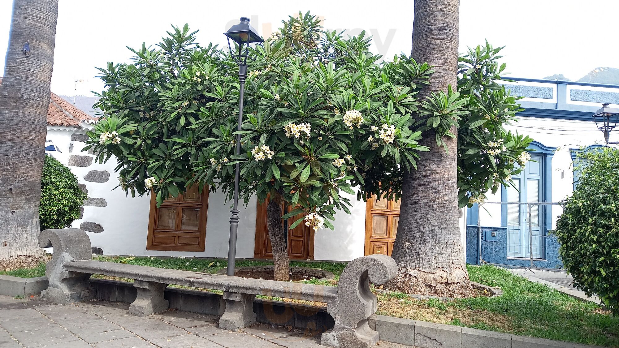 Plaza Chica