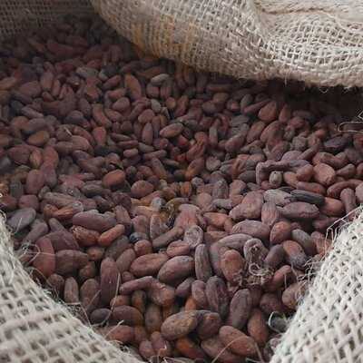 Chocolateria La Cepedana