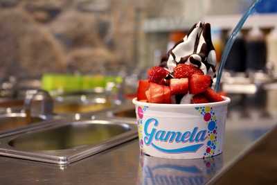 Helados Gamela