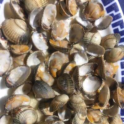 Chiringuito Don Tomás