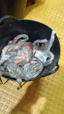 Chiringuito Don Tomás