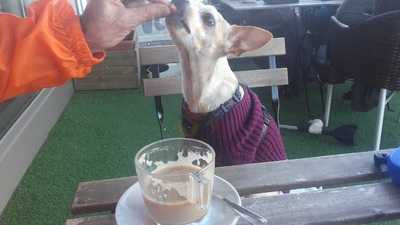 Shopping & Lounge Outlet Multi-marca