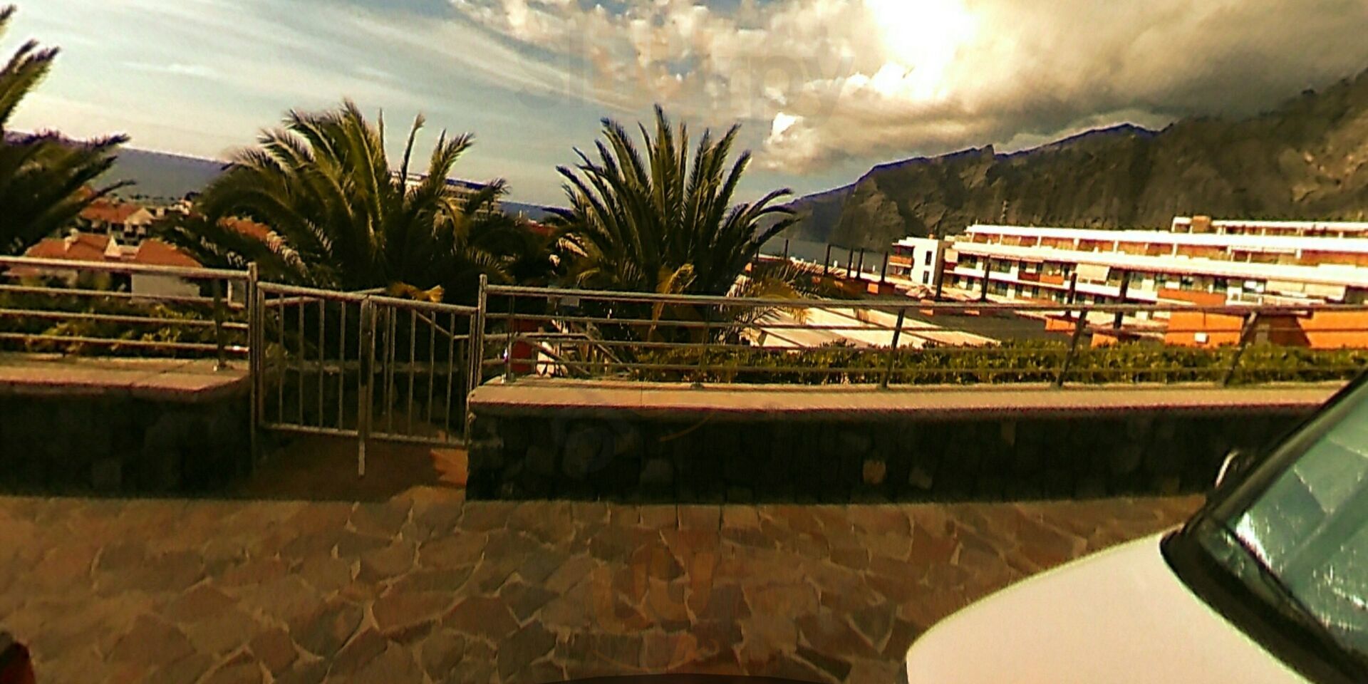 Bravo Gastronomía Canaria