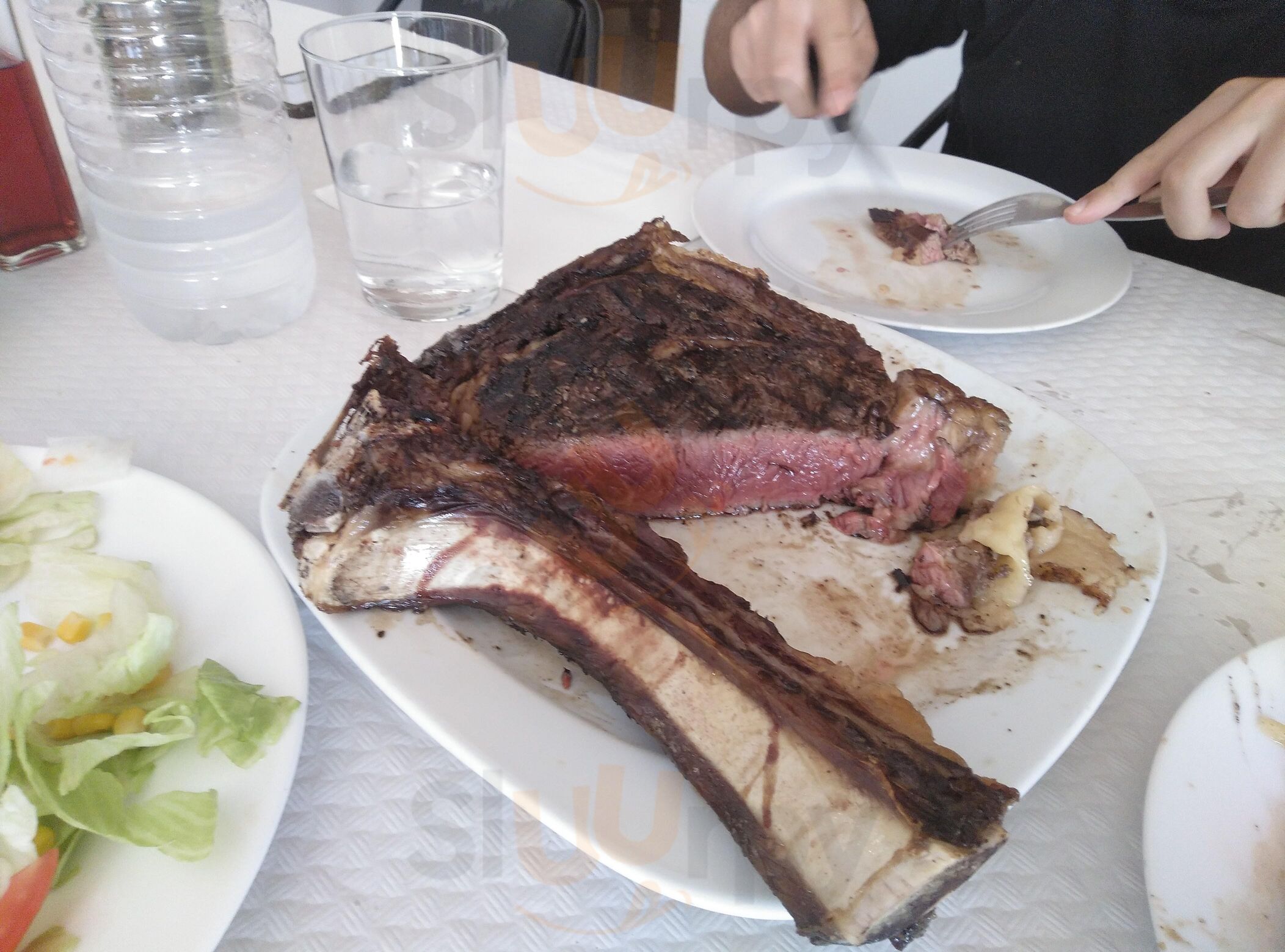 Labarra Del Tiro Pichon