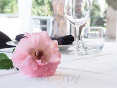 Jc Ferrero Equelite Sports Academy