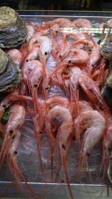 Daviara Cerveceria-bar-restaurante