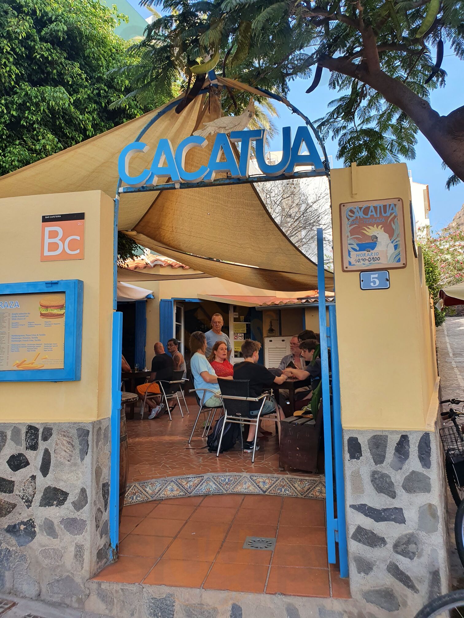 Cacatua