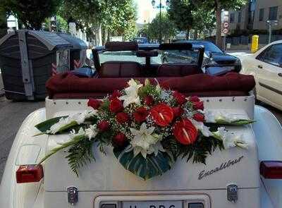 Salones Alejo Restaurant