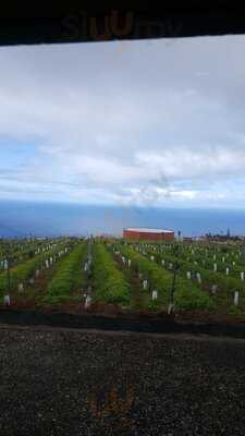 Churrasquería La Mansión