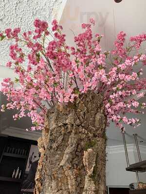 Restaurante Bouquet Gastro Gourmet