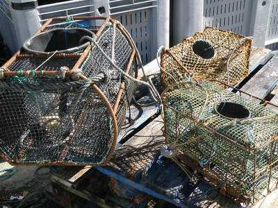 Asador Cofradia San Pedro